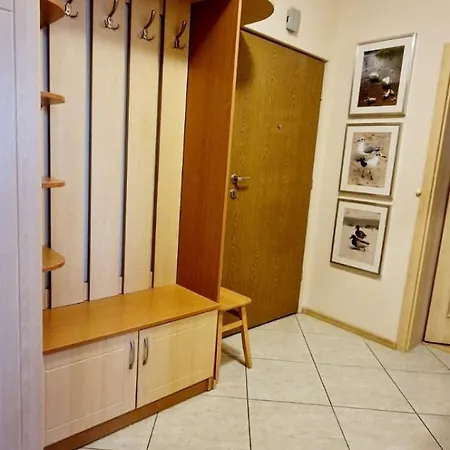 Apartment Z Garazem