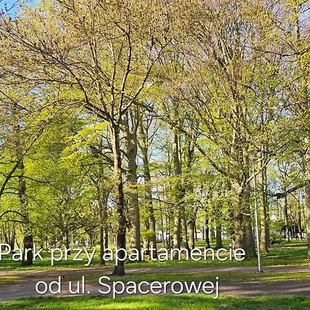 Apartment Z Garazem *